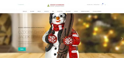 Strony Internetowe - AGNEZ - SEO, Sklepy